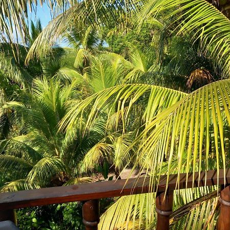 Iguana Libre Hotel Доминикал Екстериор снимка