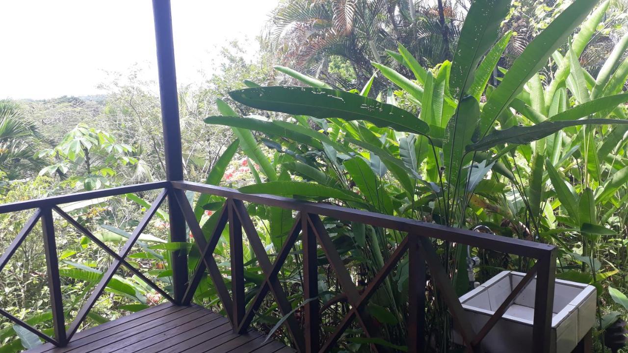 Iguana Libre Hotel Доминикал Екстериор снимка