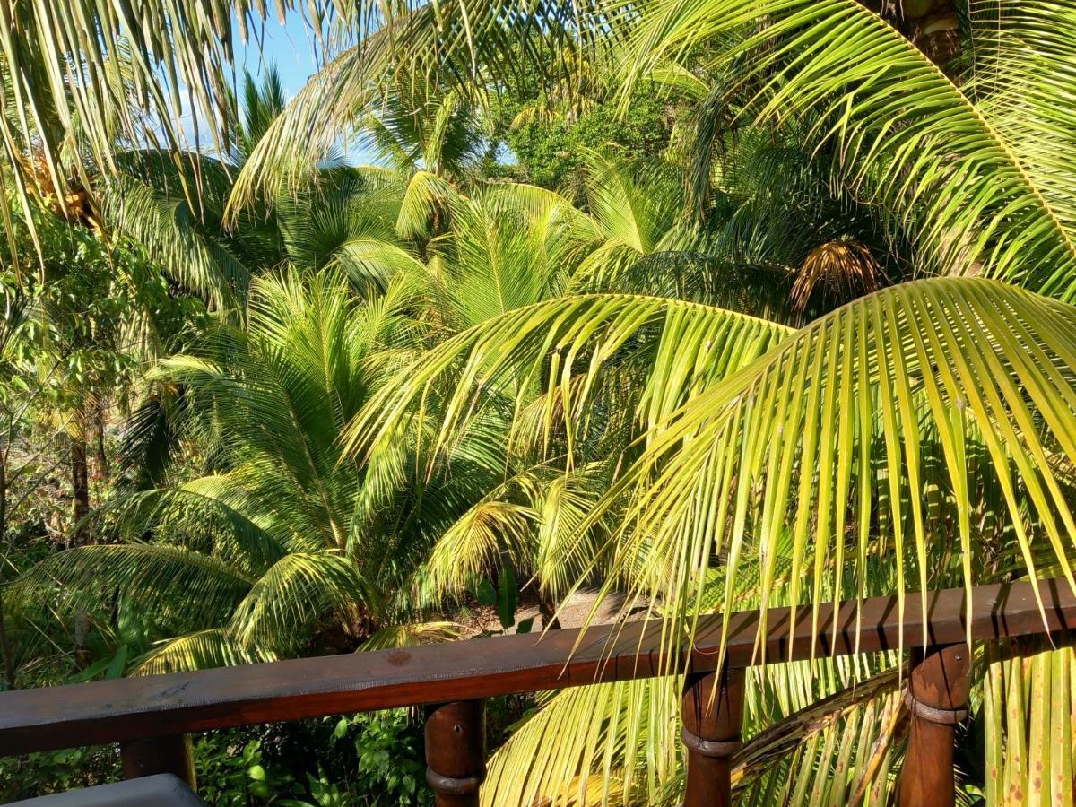 Iguana Libre Hotel Доминикал Екстериор снимка